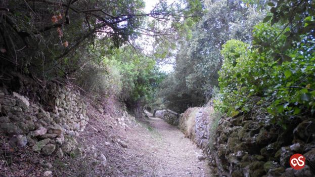 Valle di Logulentu: antichi giardini e sottoboschi incantati