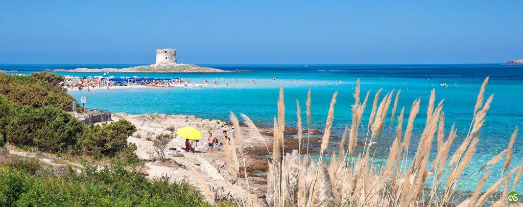 THE PELOSA OF STINTINO. ONE OF THE MOST BEAUTIFUL BEACHES OF THE WORLD