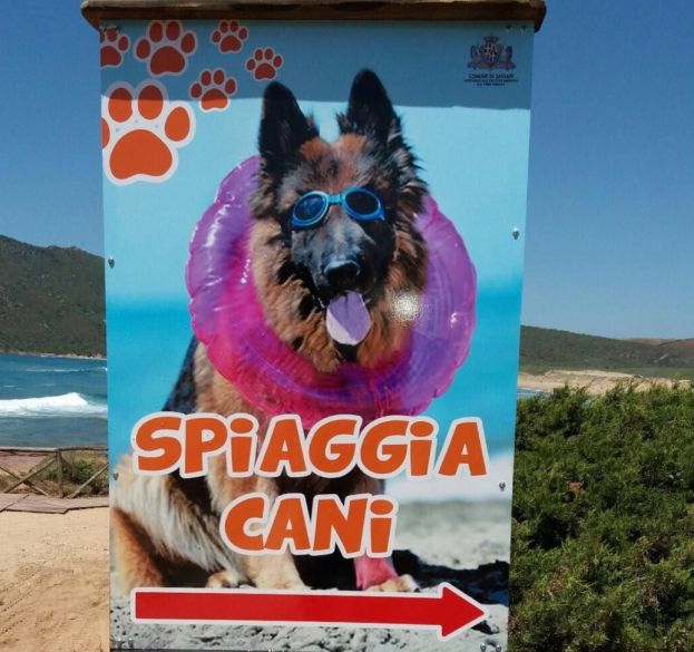 Spiagge per cani a Sassari