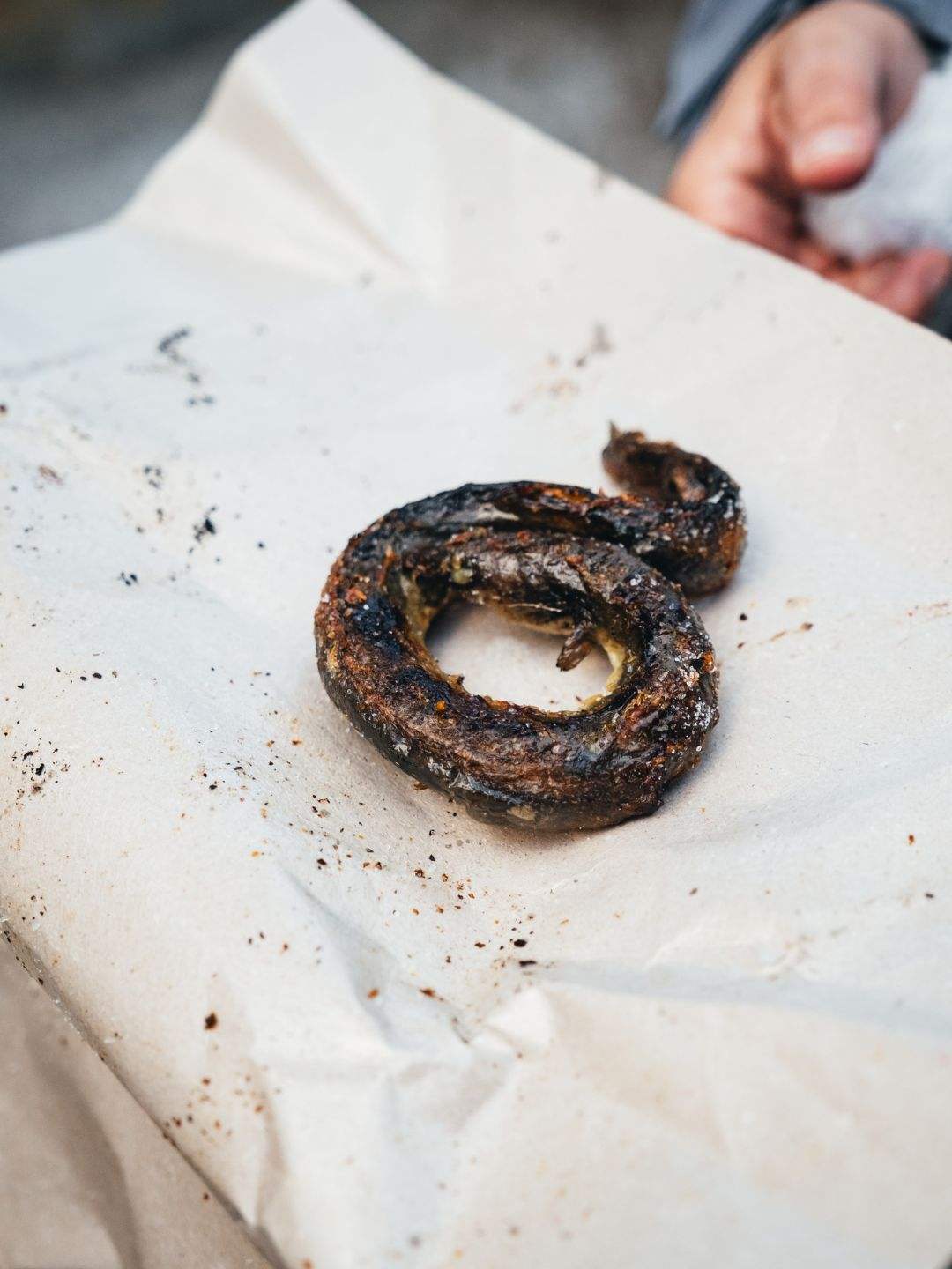 Anguilla di Moras arrostita, primo piano