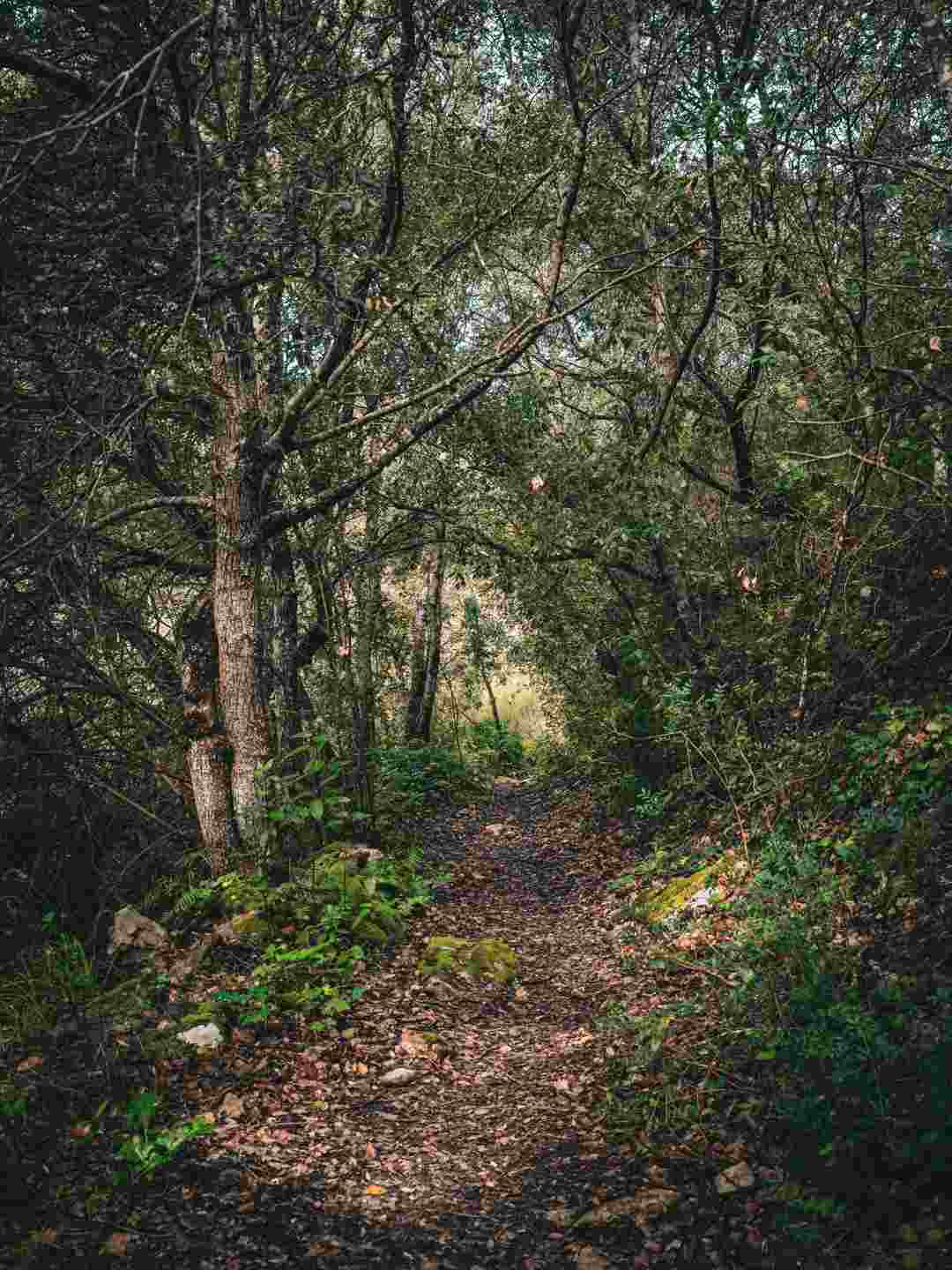 Valle di Logulentu a Sassari