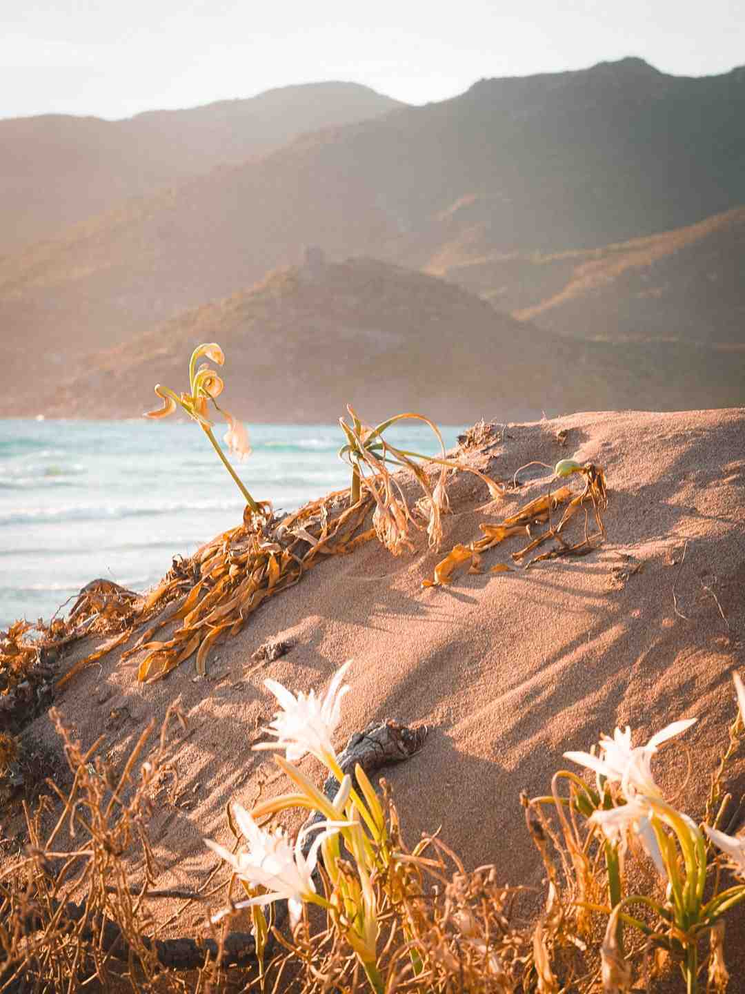Dune di Porto Ferro a Sassari