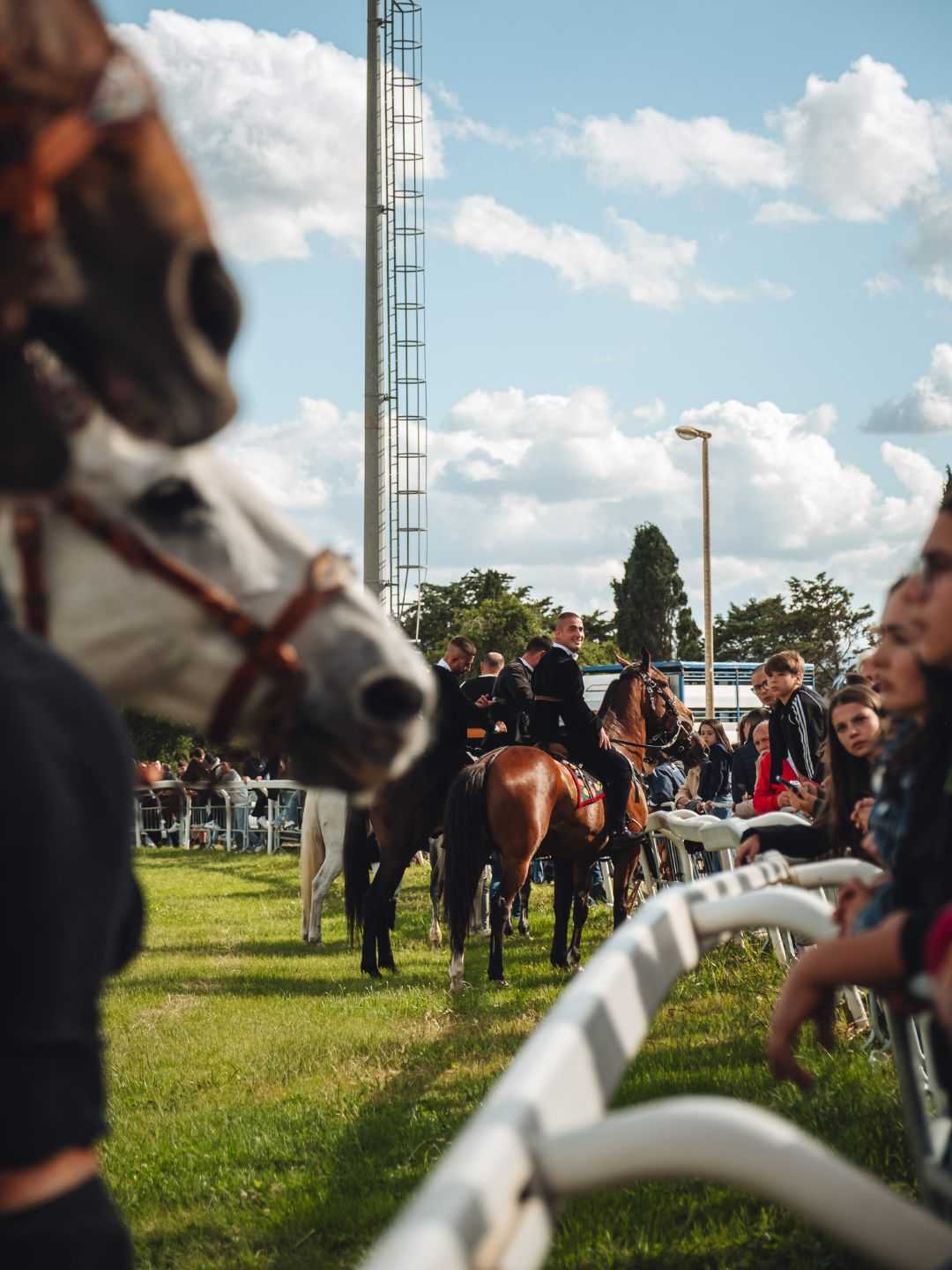 Le pariglie all'ippodromo durante la Cavalcata Sarda a Sassari