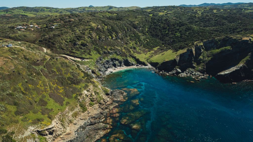 Il fascino selvaggio della costa 