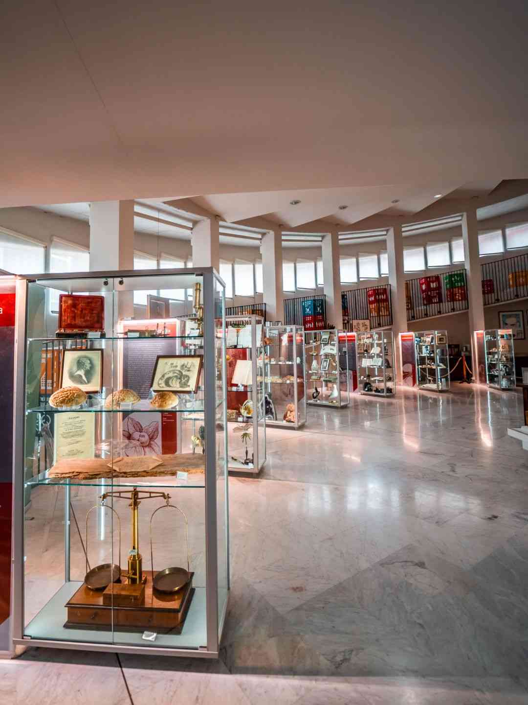 Sala interna del Museo Scientifico a Sassari